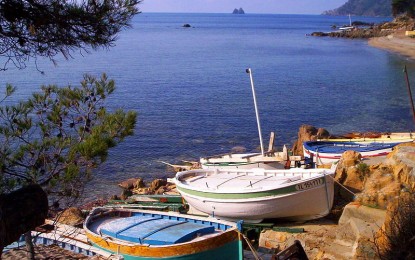 Les panneaux seront réglementés à Saint-Cyr