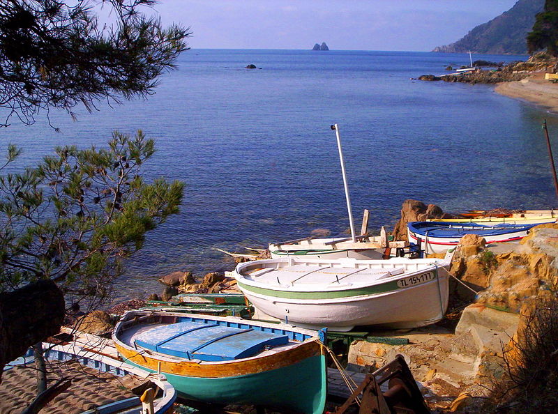 Les panneaux seront réglementés à Saint-Cyr