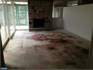 Photos D'Annonces Immobilières