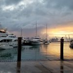 le port de miami